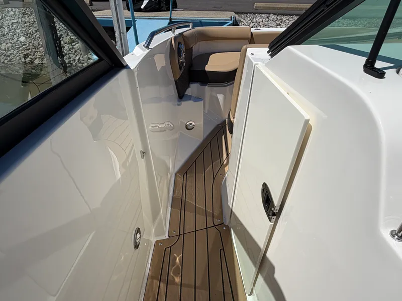 Slide: The Image of Sea Ray 250 SDX 2021 - 16