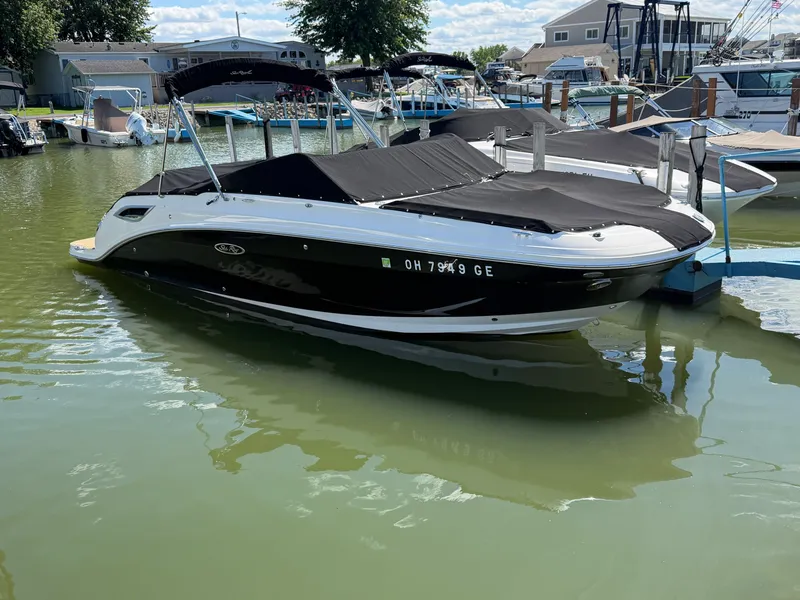 Slide: The Image of Sea Ray 250 SDX 2021 - 1