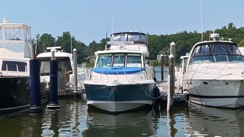 The Image of Boston Whaler 345 CONQUEST 2018 - 0