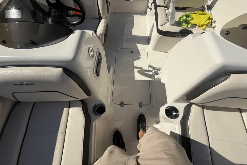 Slide: The Image of Stingray 172 2023 - 12