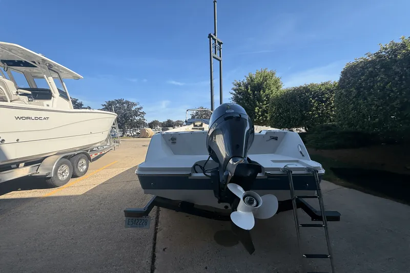 Slide: The Image of Stingray 172 2023 - 16