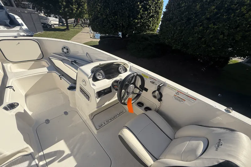 Slide: The Image of Stingray 172 2023 - 6