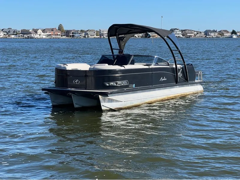 The Image of Avalon CATALINA PLATINUM 2020 - 0