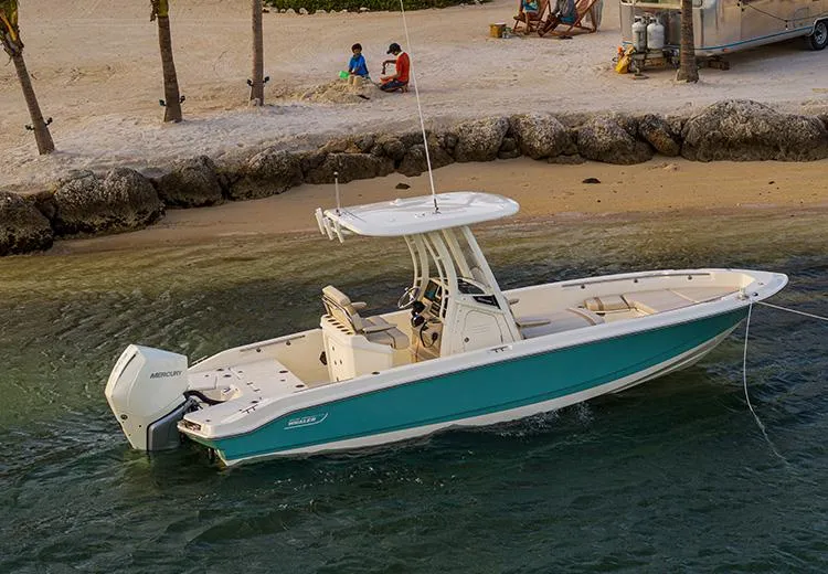 Slide: The Image of 2023 Boston Whaler 250 Dauntless boat anchored near a sandy beach. - 2