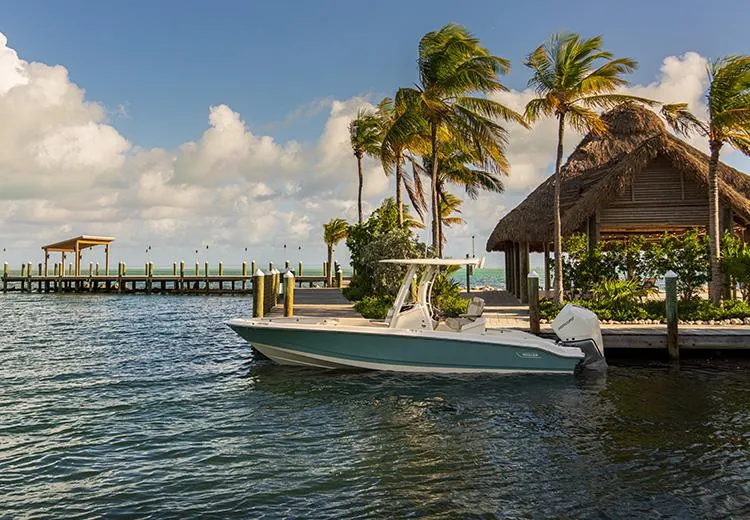Slide: The Image of 2023 Boston Whaler 250 Dauntless docked near tropical palm trees and a thatched hut. - 3