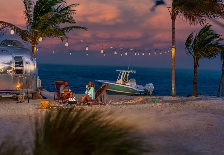 Slide: The Image of 2023 Boston Whaler 250 Dauntless at sunset beach campfire scene with palm trees and string lights. - 9