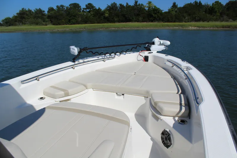 Slide: The Image of Boston Whaler 250 DAUNTLESS 2025 - 12