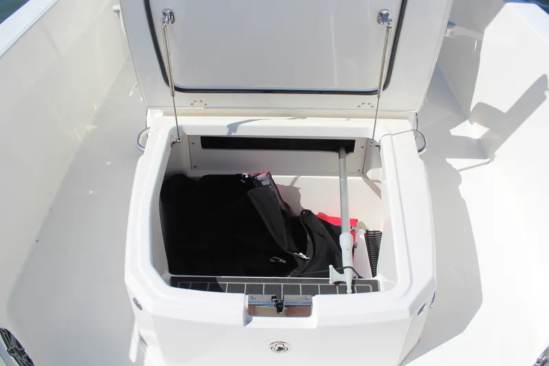 Slide: The Image of Boston Whaler 250 DAUNTLESS 2025 - 13