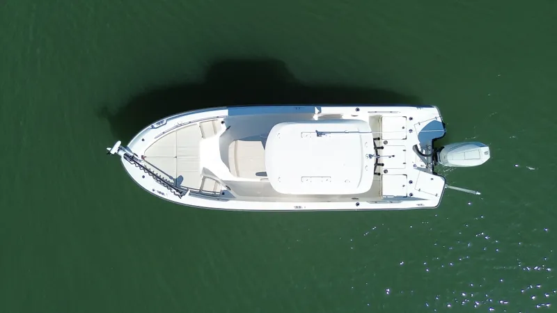 Slide: The Image of Boston Whaler 250 DAUNTLESS 2025 - 4