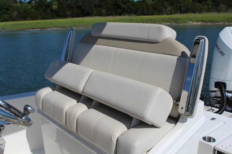 Slide: The Image of Boston Whaler 250 DAUNTLESS 2025 - 19