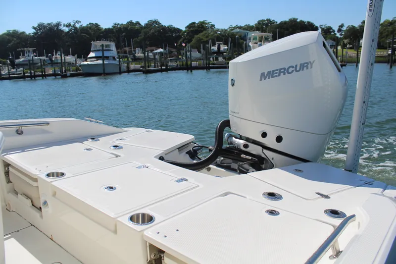 Slide: The Image of Boston Whaler 250 DAUNTLESS 2025 - 21