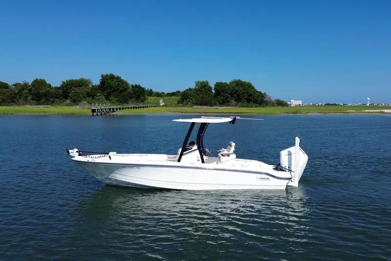 The Image of Boston Whaler 250 DAUNTLESS 2025 - 0