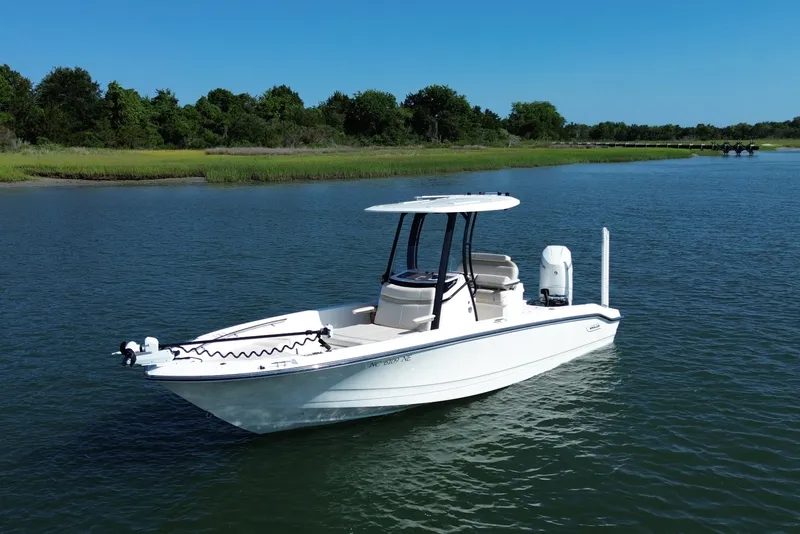Slide: The Image of Boston Whaler 250 DAUNTLESS 2025 - 2