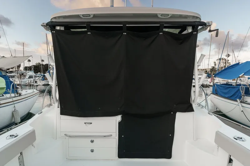 Slide: The Image of 2019 Boston Whaler 315 Conquest boat with black curtain in marina setting. - 128