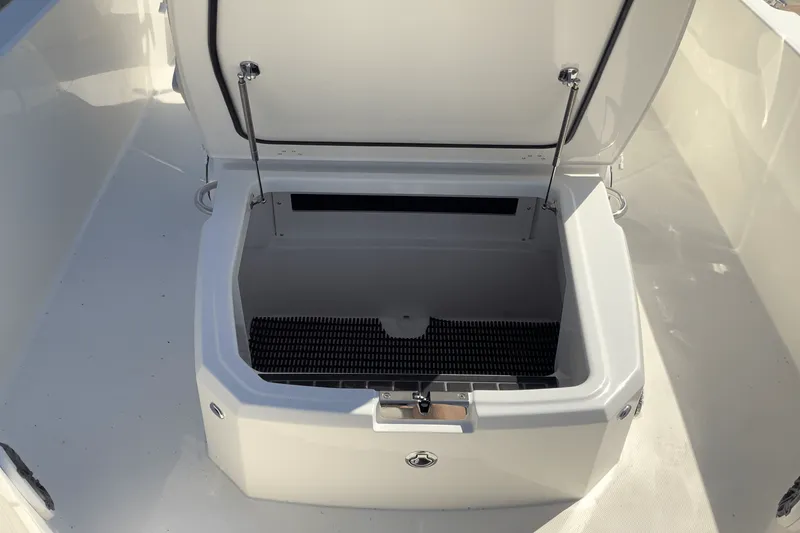 Slide: The Image of Boston Whaler 250 Dauntless 2026 - 23