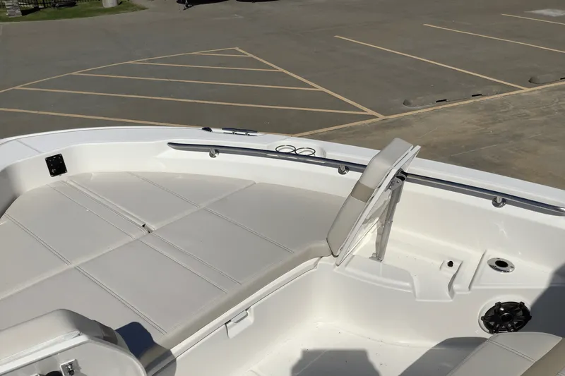 Slide: The Image of Boston Whaler 250 Dauntless 2026 - 24