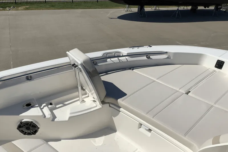 Slide: The Image of Boston Whaler 250 Dauntless 2026 - 25