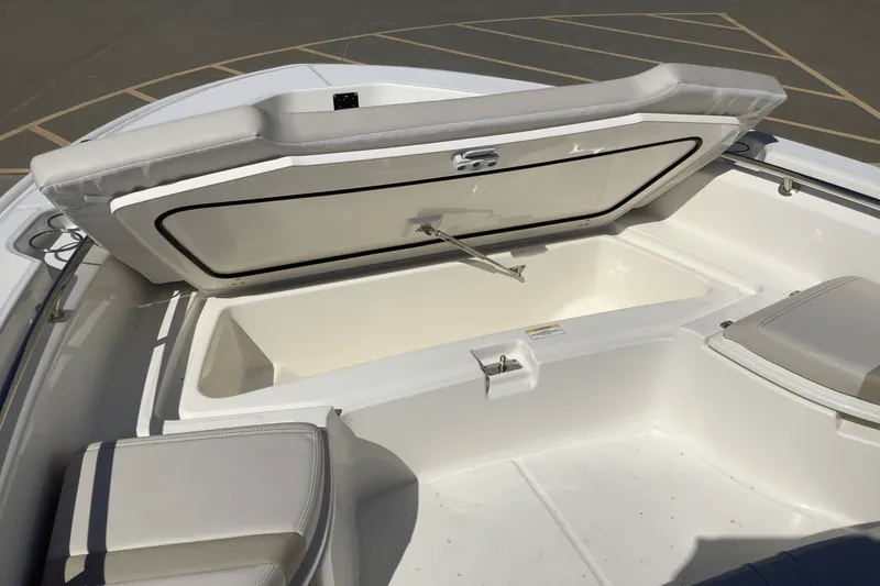 Slide: The Image of Boston Whaler 250 Dauntless 2026 - 27