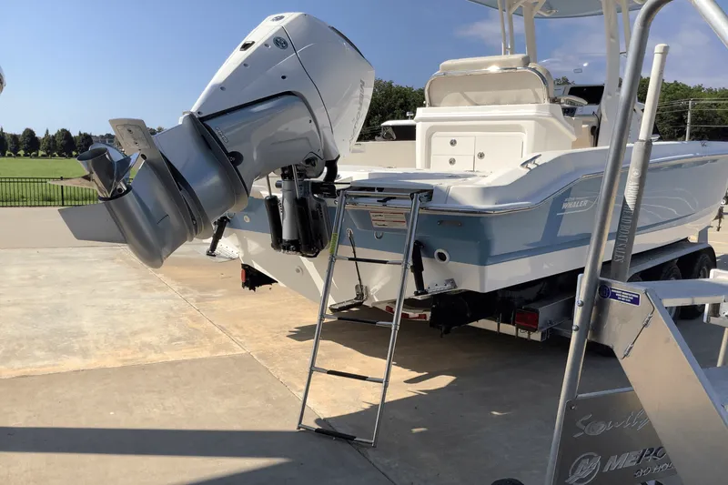 Slide: The Image of Boston Whaler 250 Dauntless 2026 - 7
