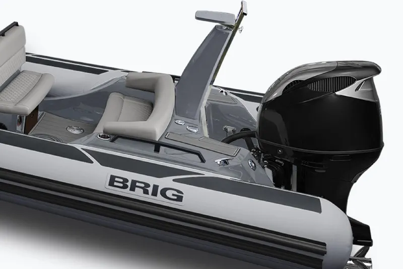 Slide: The Image of Brig Eagle 8 2025 - 3