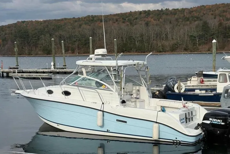 The Image of Seaswirl 2901 2004 - 0