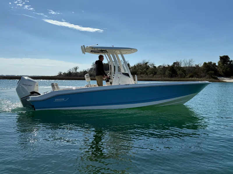 The Image of Boston Whaler 250 Dauntless 2026 - 0
