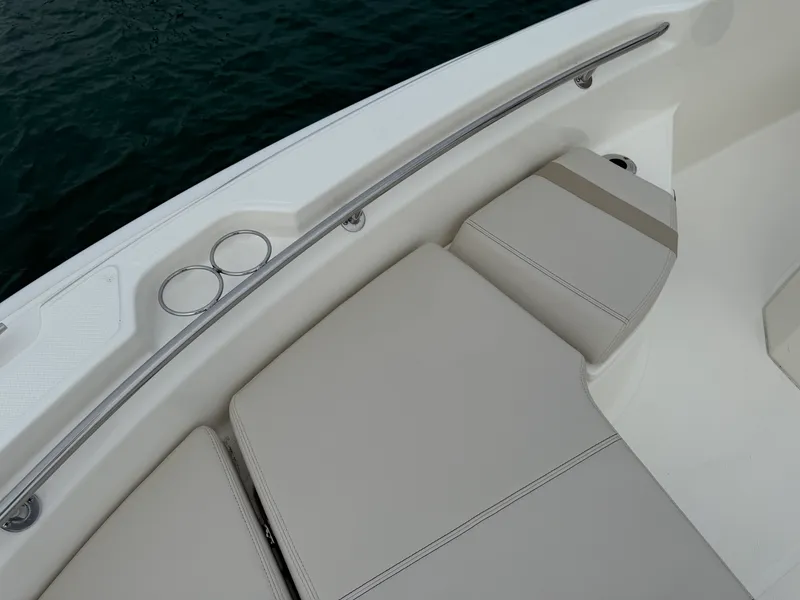 Slide: The Image of Boston Whaler 250 Dauntless 2026 - 11