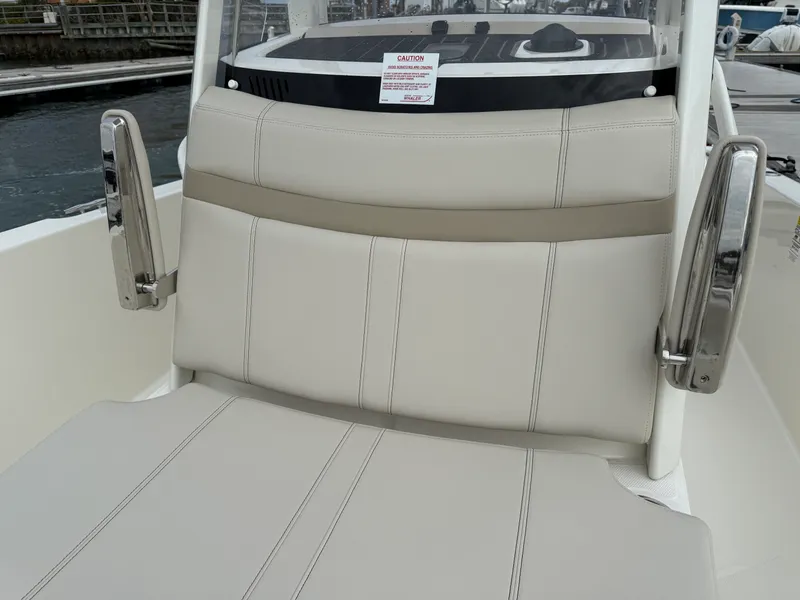 Slide: The Image of Boston Whaler 250 Dauntless 2026 - 12