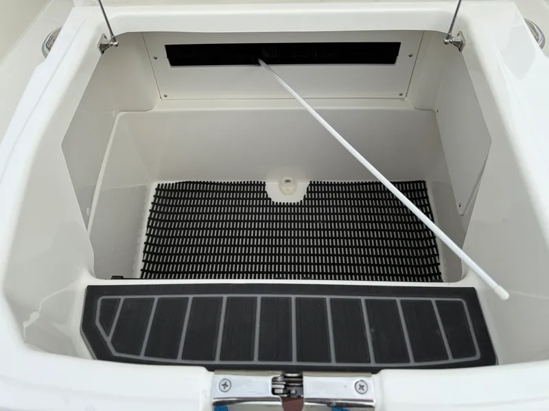 Slide: The Image of Boston Whaler 250 Dauntless 2026 - 14