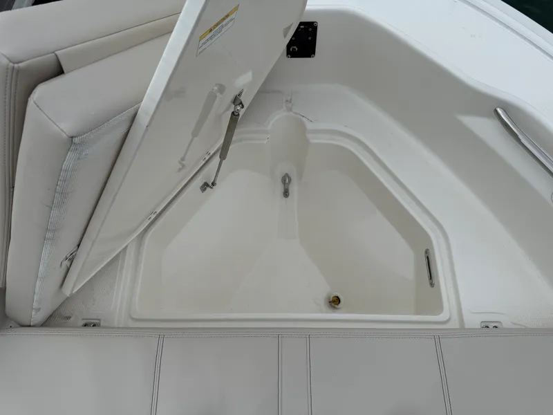 Slide: The Image of Boston Whaler 250 Dauntless 2026 - 15
