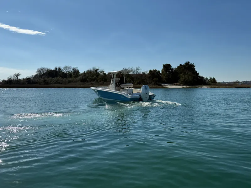Slide: The Image of Boston Whaler 250 Dauntless 2026 - 2