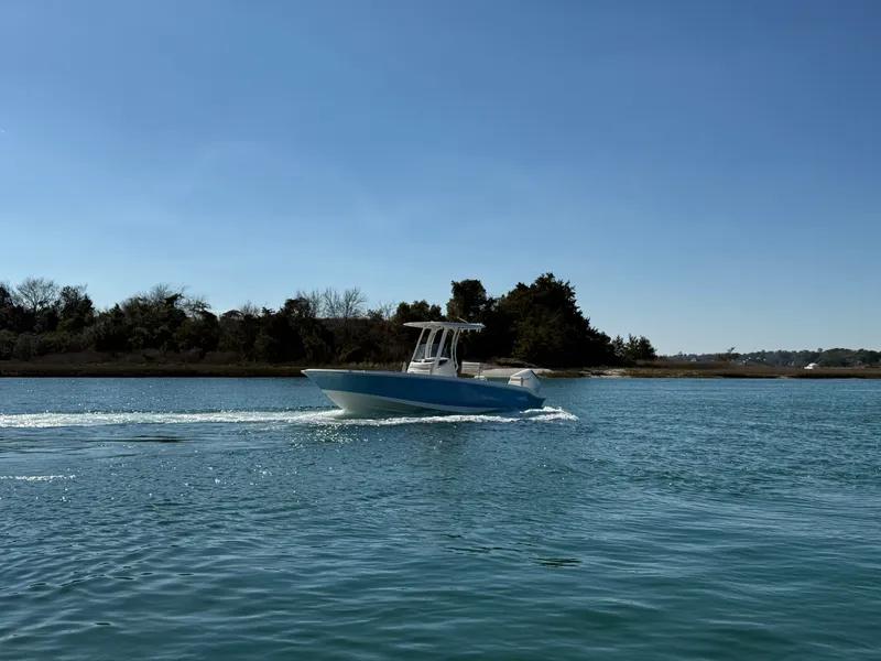 Slide: The Image of Boston Whaler 250 Dauntless 2026 - 3