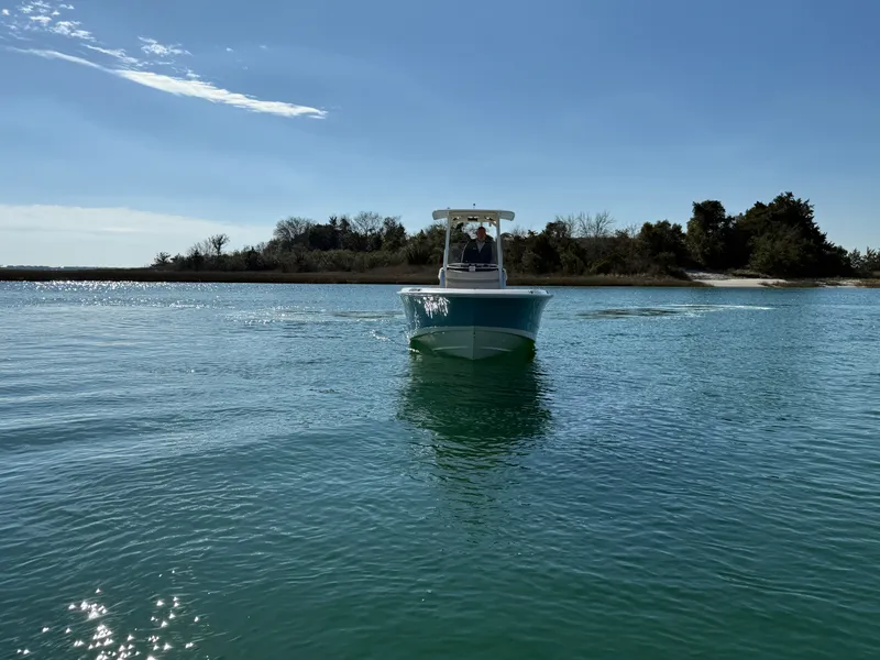 Slide: The Image of Boston Whaler 250 Dauntless 2026 - 4