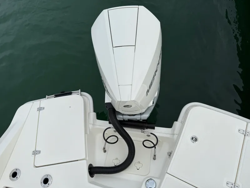 Slide: The Image of Boston Whaler 250 Dauntless 2026 - 5