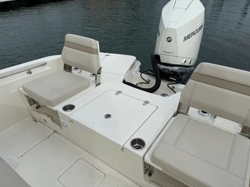Slide: The Image of Boston Whaler 250 Dauntless 2026 - 6