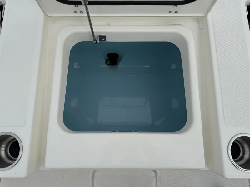 Slide: The Image of Boston Whaler 250 Dauntless 2026 - 7