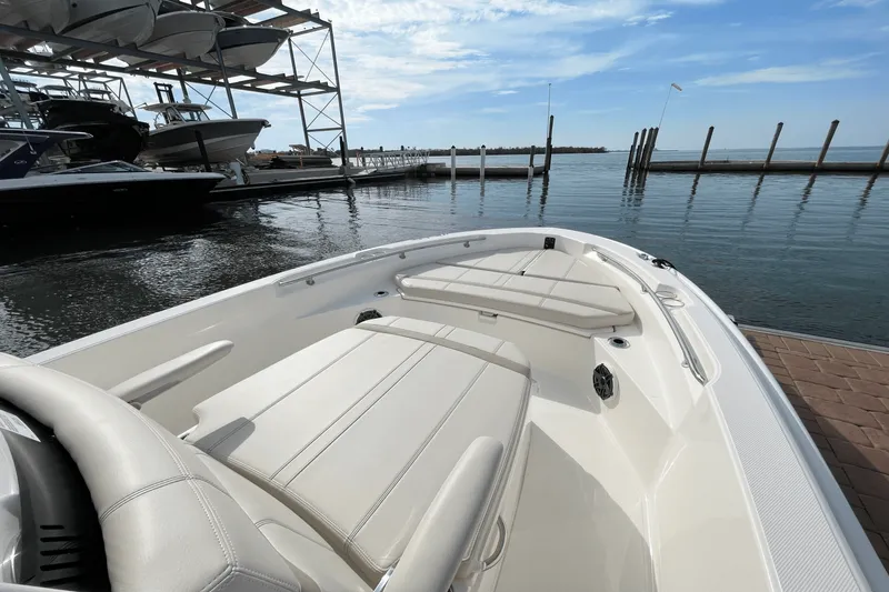 Slide: The Image of Boston Whaler 220 Dauntless 2026 - 18