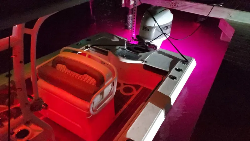 Slide: The Image of Everglades 243 CC 2006 - 115