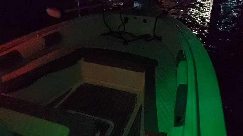 Slide: The Image of Everglades 243 CC 2006 - 119