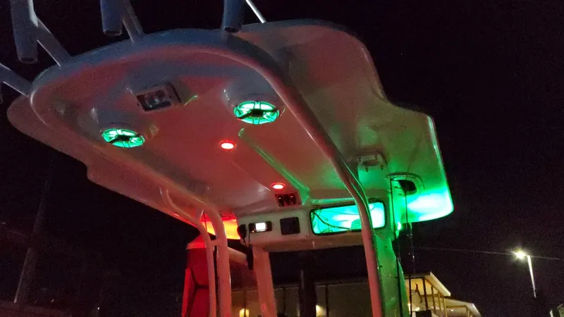 Slide: The Image of Everglades 243 CC 2006 - 121