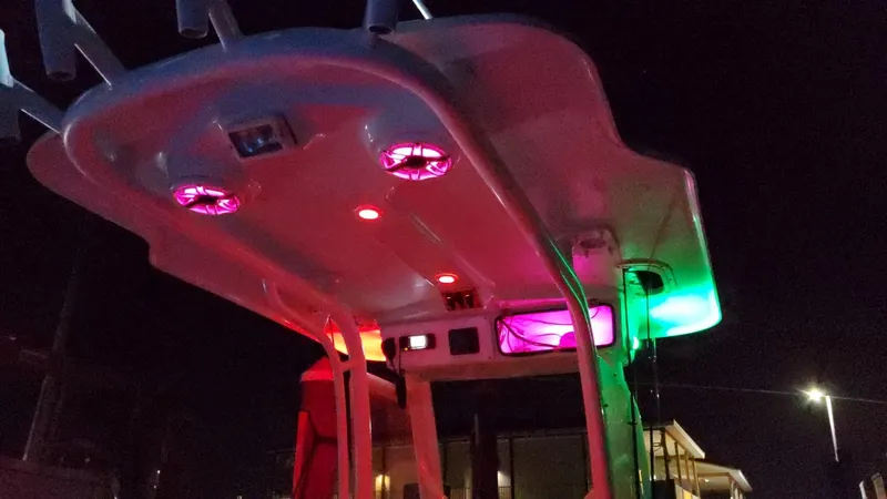 Slide: The Image of Everglades 243 CC 2006 - 122