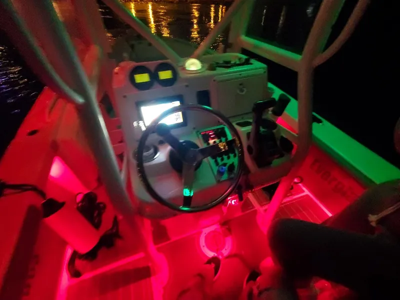 Slide: The Image of Everglades 243 CC 2006 - 131