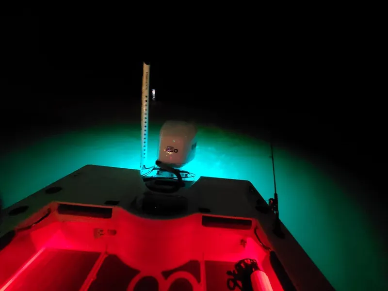 Slide: The Image of Everglades 243 CC 2006 - 134