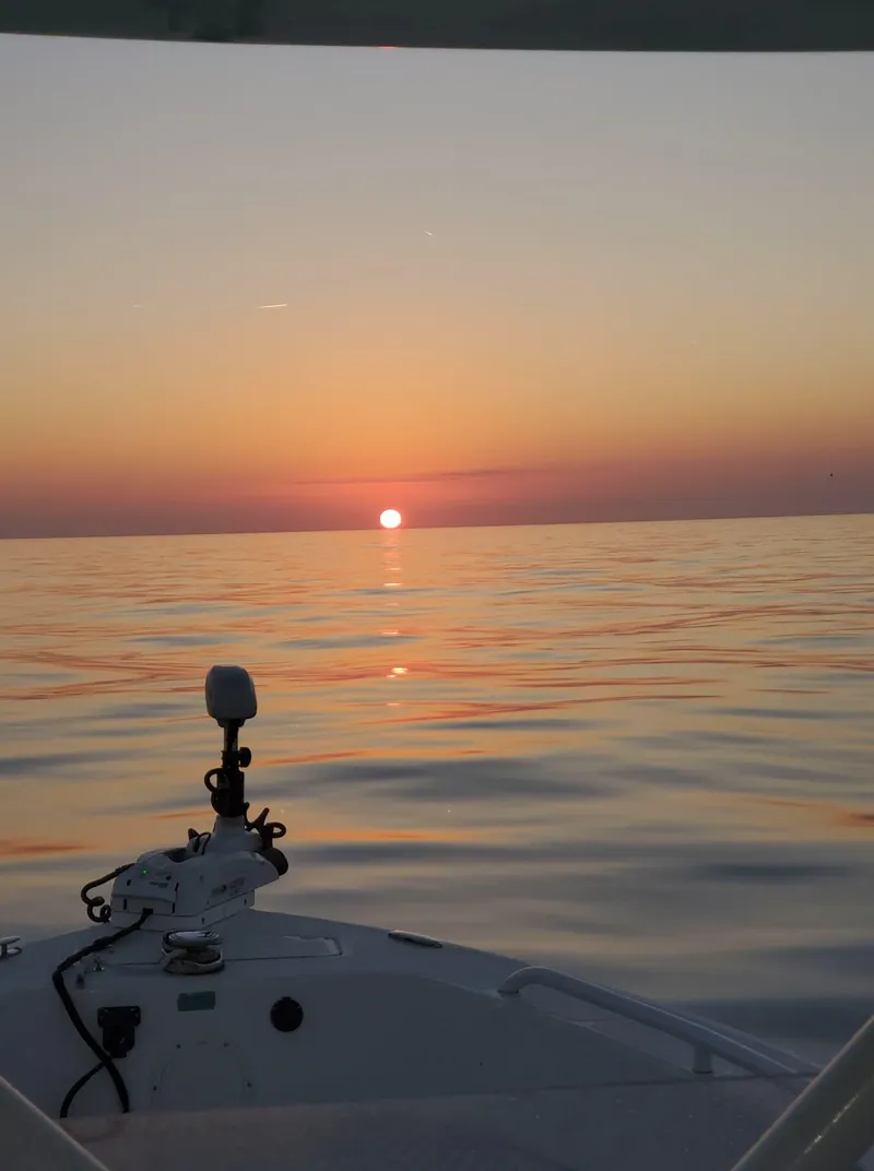 Slide: The Image of Everglades 243 CC 2006 - 135