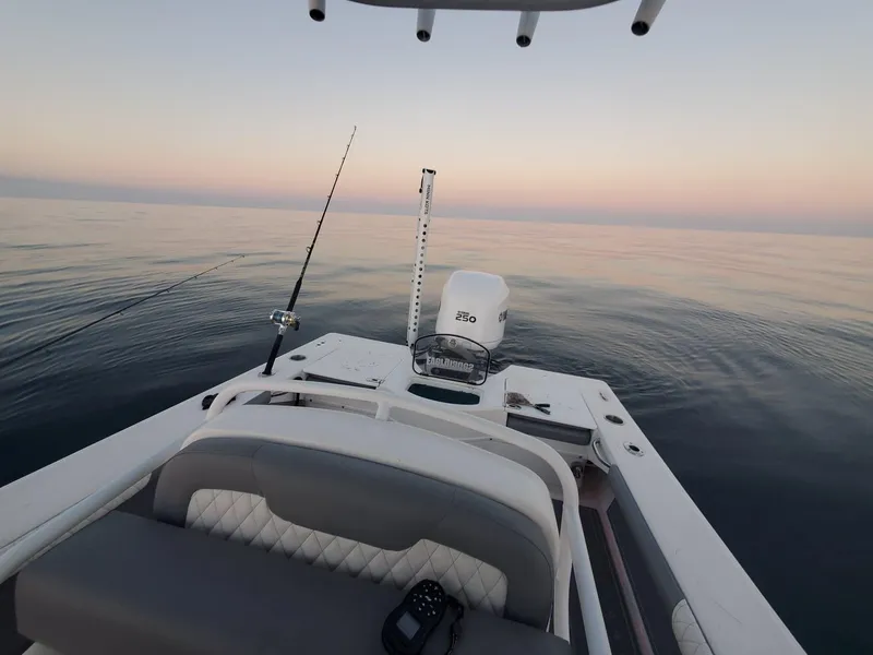 Slide: The Image of Everglades 243 CC 2006 - 137