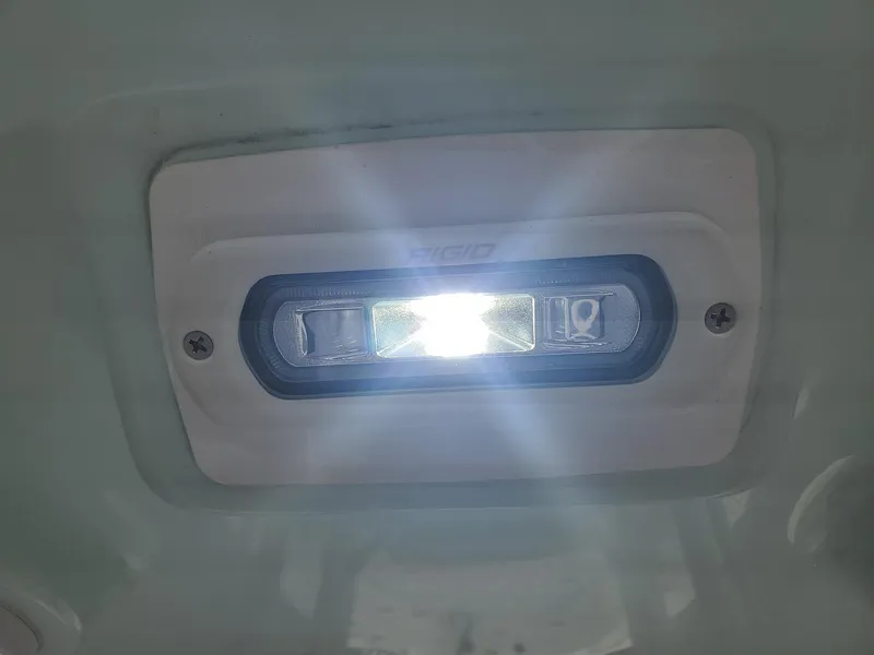 Slide: The Image of Everglades 243 CC 2006 - 146