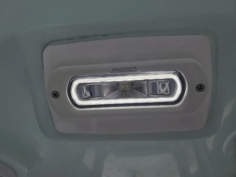 Slide: The Image of Everglades 243 CC 2006 - 153