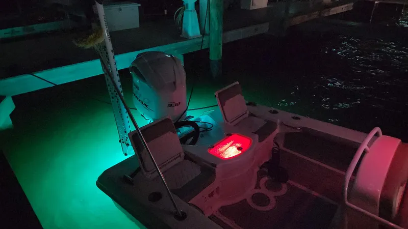 Slide: The Image of Everglades 243 CC 2006 - 181