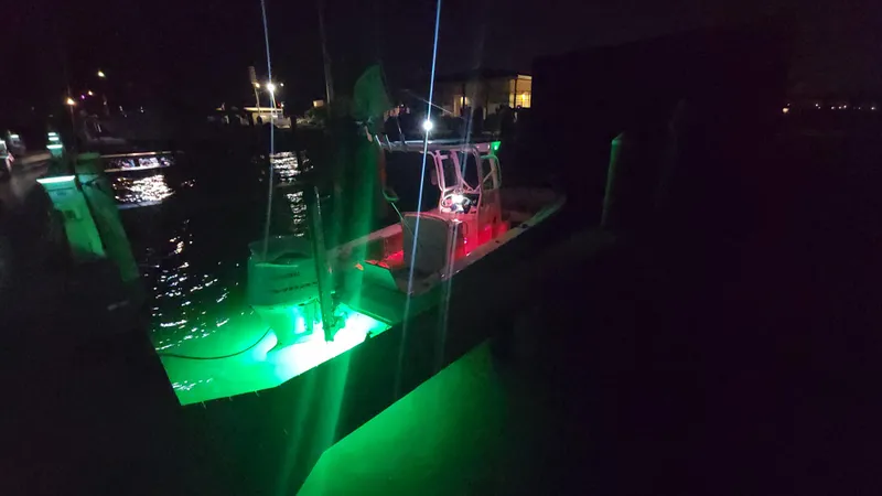 Slide: The Image of Everglades 243 CC 2006 - 183