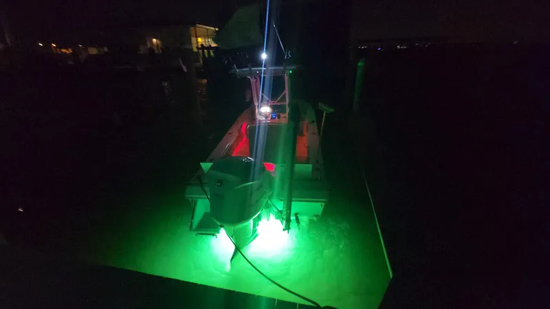 Slide: The Image of Everglades 243 CC 2006 - 184